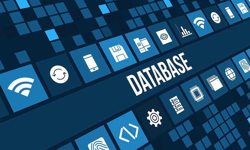 Database Design & Maintenance